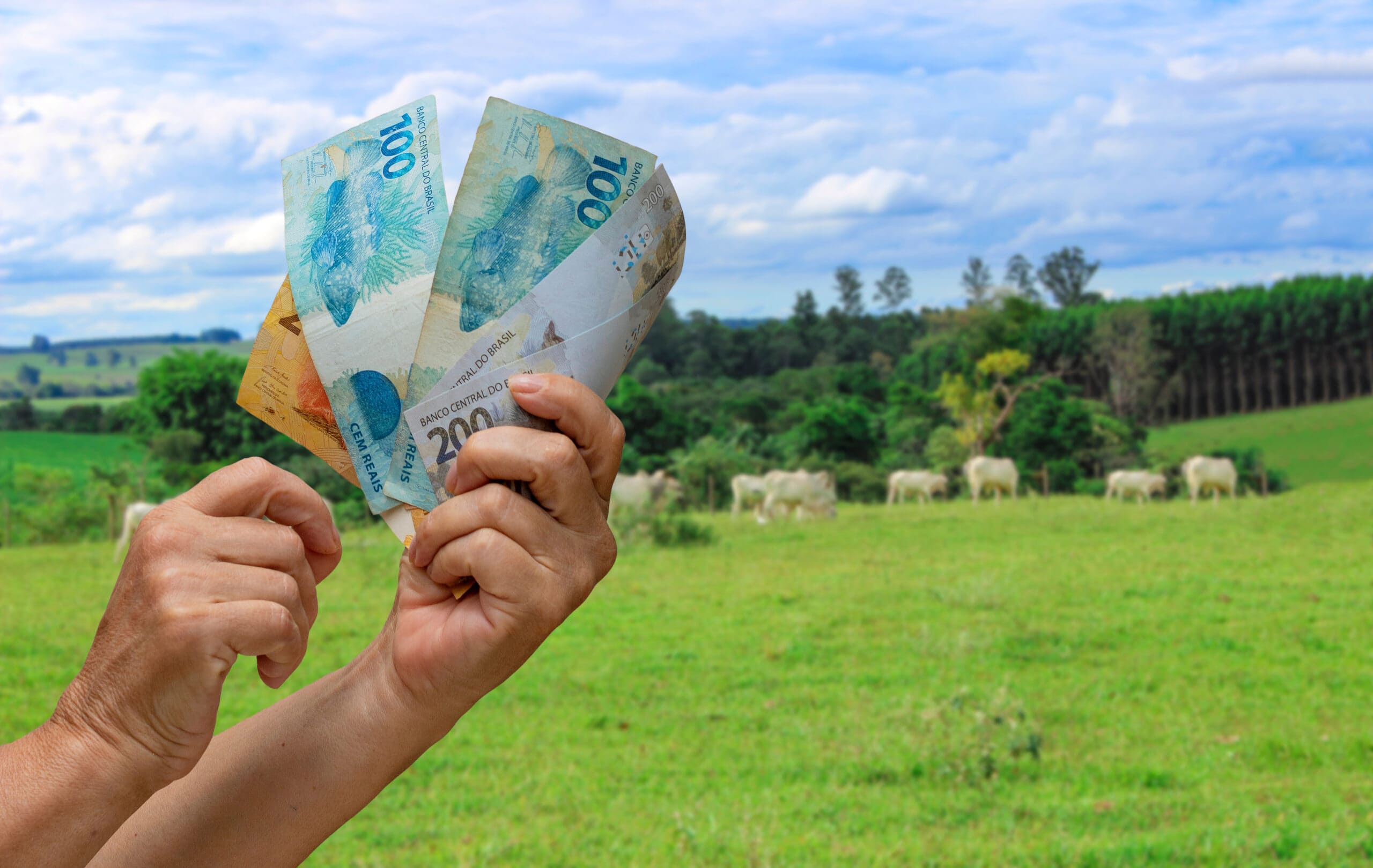 Cash Cow Video Editing